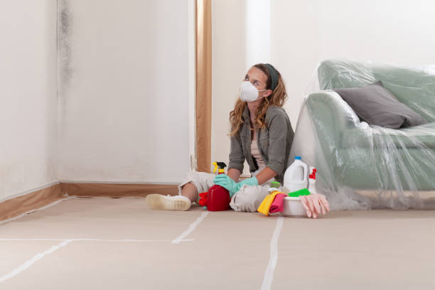 Reliable Black Mold Removal contractor in Schaumburg, IL by WQB Mold Removal